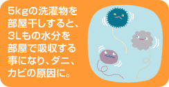 5kgの洗濯物を部屋干しにすると、3Lもの水分を部屋で吸収する事になり、ダニ、カビの原因に。